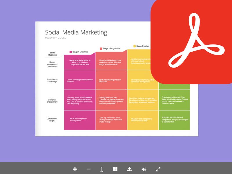 Social Media Maturity Model